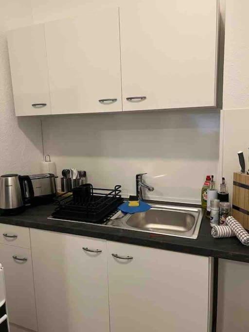 Lux Apartment Near Frankfurt! Mörfelden-Walldorf Extérieur photo